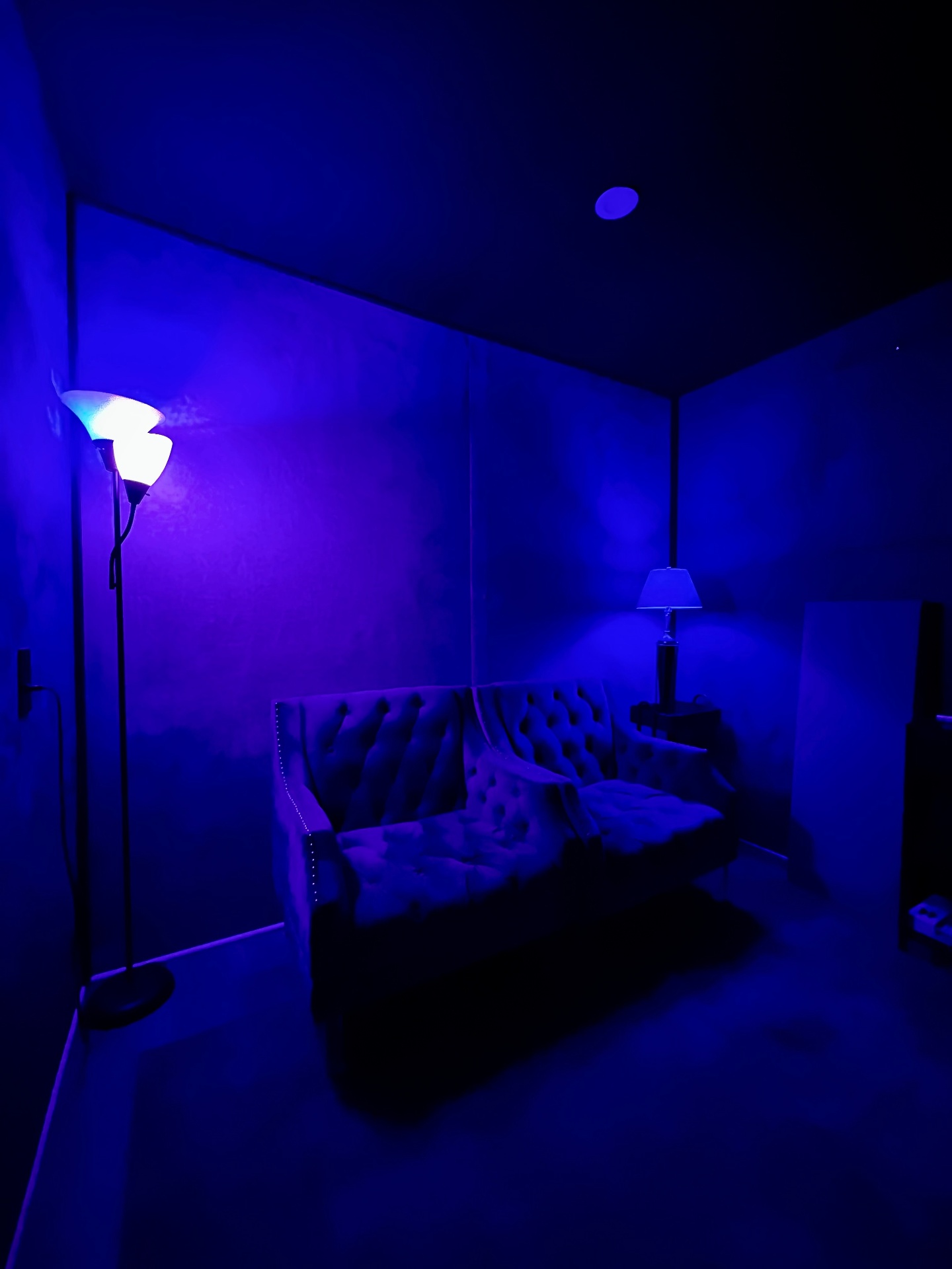 The Ally 1